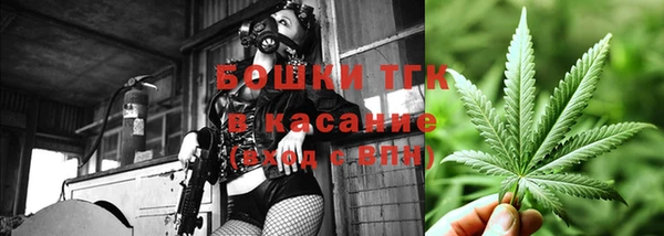 амф Надым