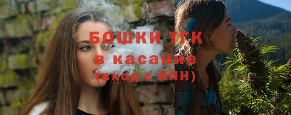 амф Надым