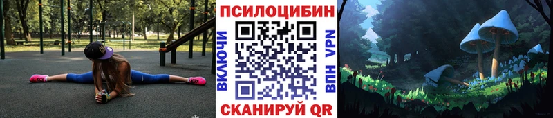 Купить  Печора  Псилоцибиновые грибы ЛСД 